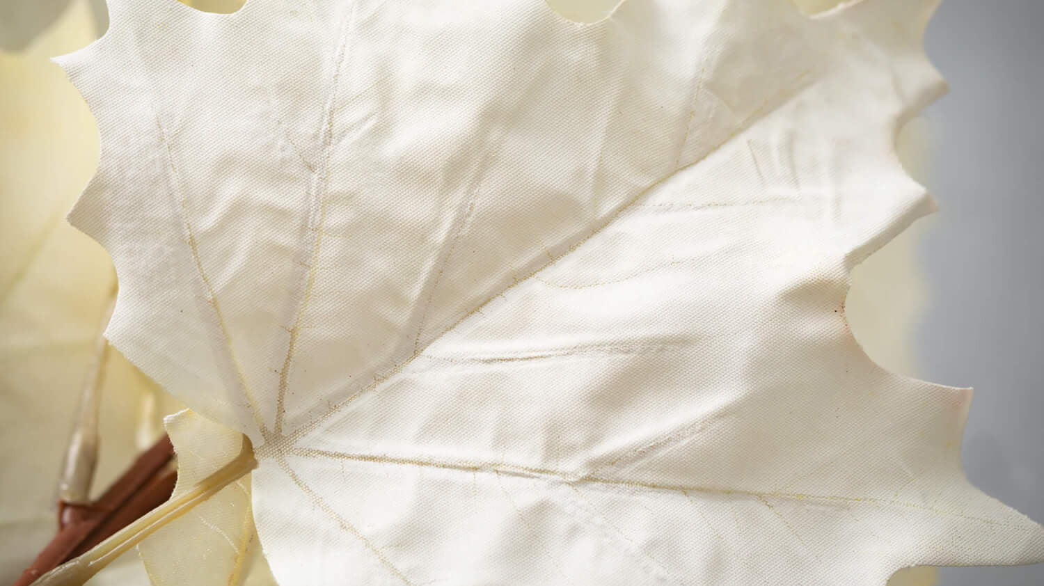 Wooden kitchen and dining room accessories