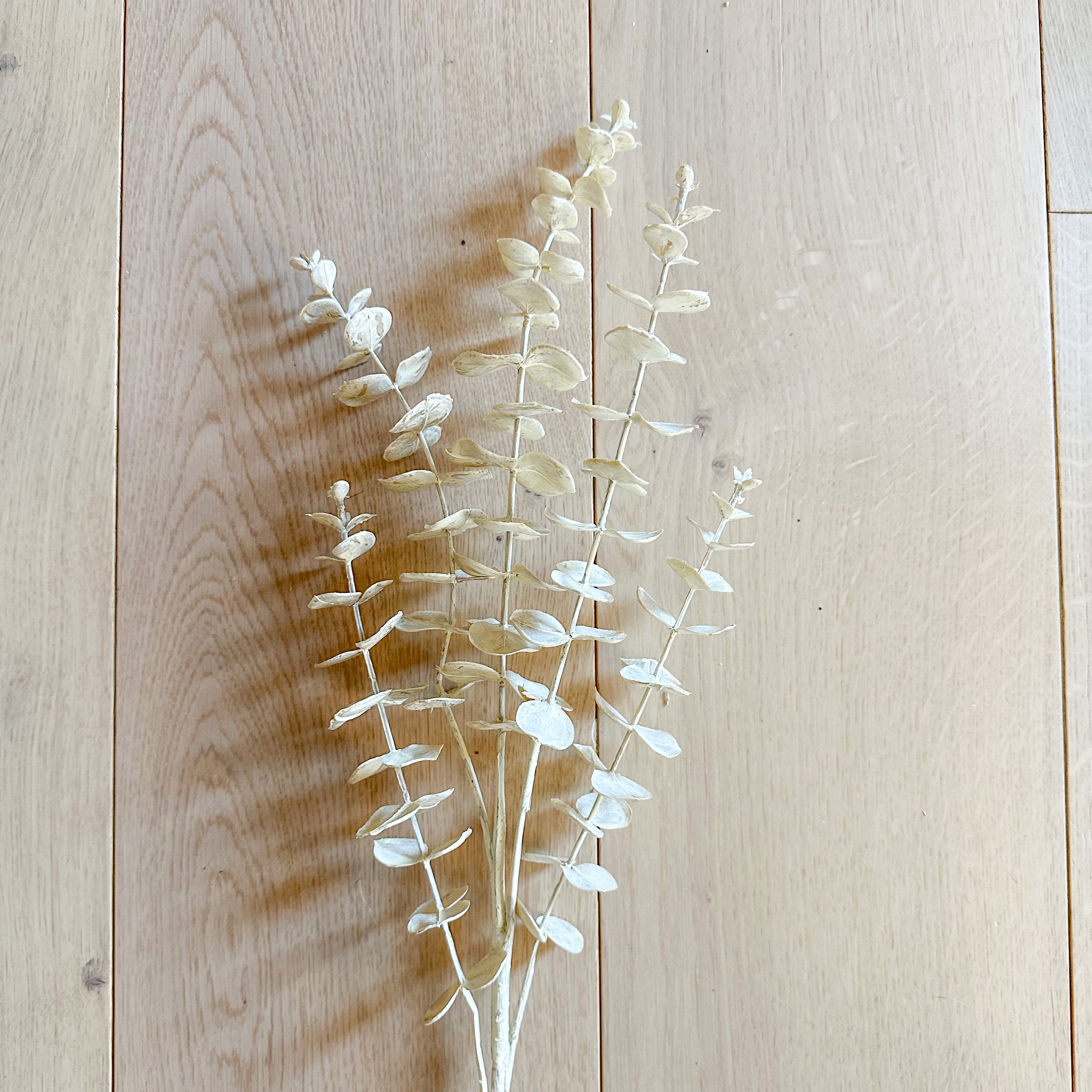 Faux Cream Eucalyptus Spray