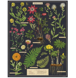 Herbarium 1000 Piece Vintage Style Jigsaw Puzzle