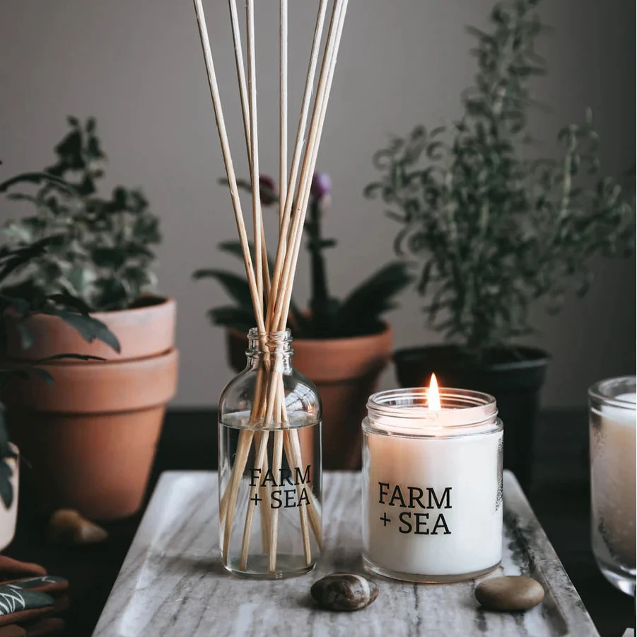 Farm + Sea Reed Classic Diffuser – Purple Rose & Co