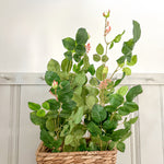 Rose Bud Vine Stem in Water Hyacinth Wall Basket