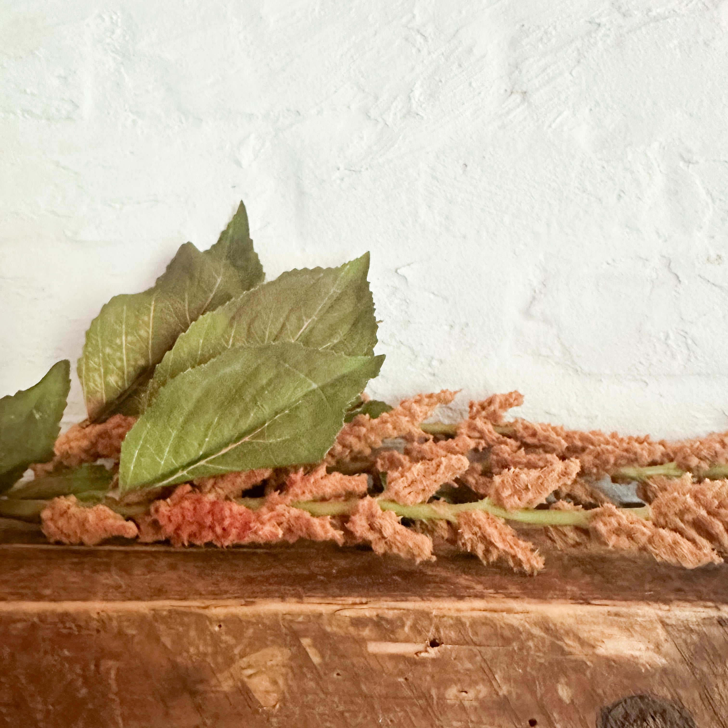 Purple Rose & Co Hanging Amaranthus - Thumbnail 2