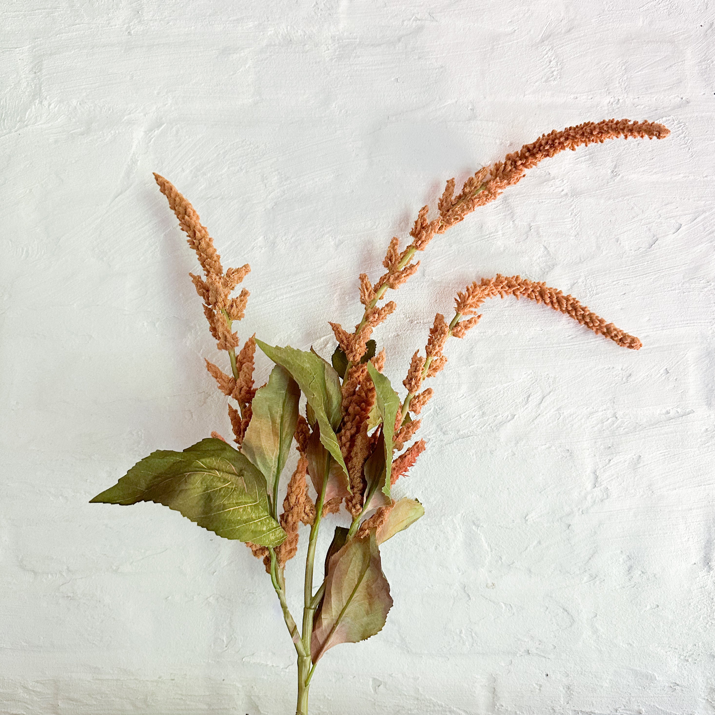 Purple Rose & Co Hanging Amaranthus