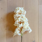 Cream Hydrangea Faux Floral Stem