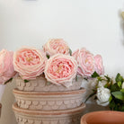 Real Touch Pink Rose Stems in Bergs Potter Pot