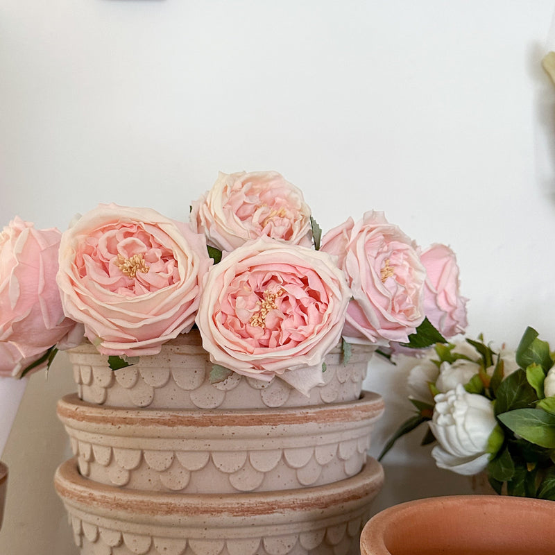 Real Touch Pink Rose Stems in Bergs Potter Pot