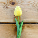 Faux Single Tulip Stem Yellow