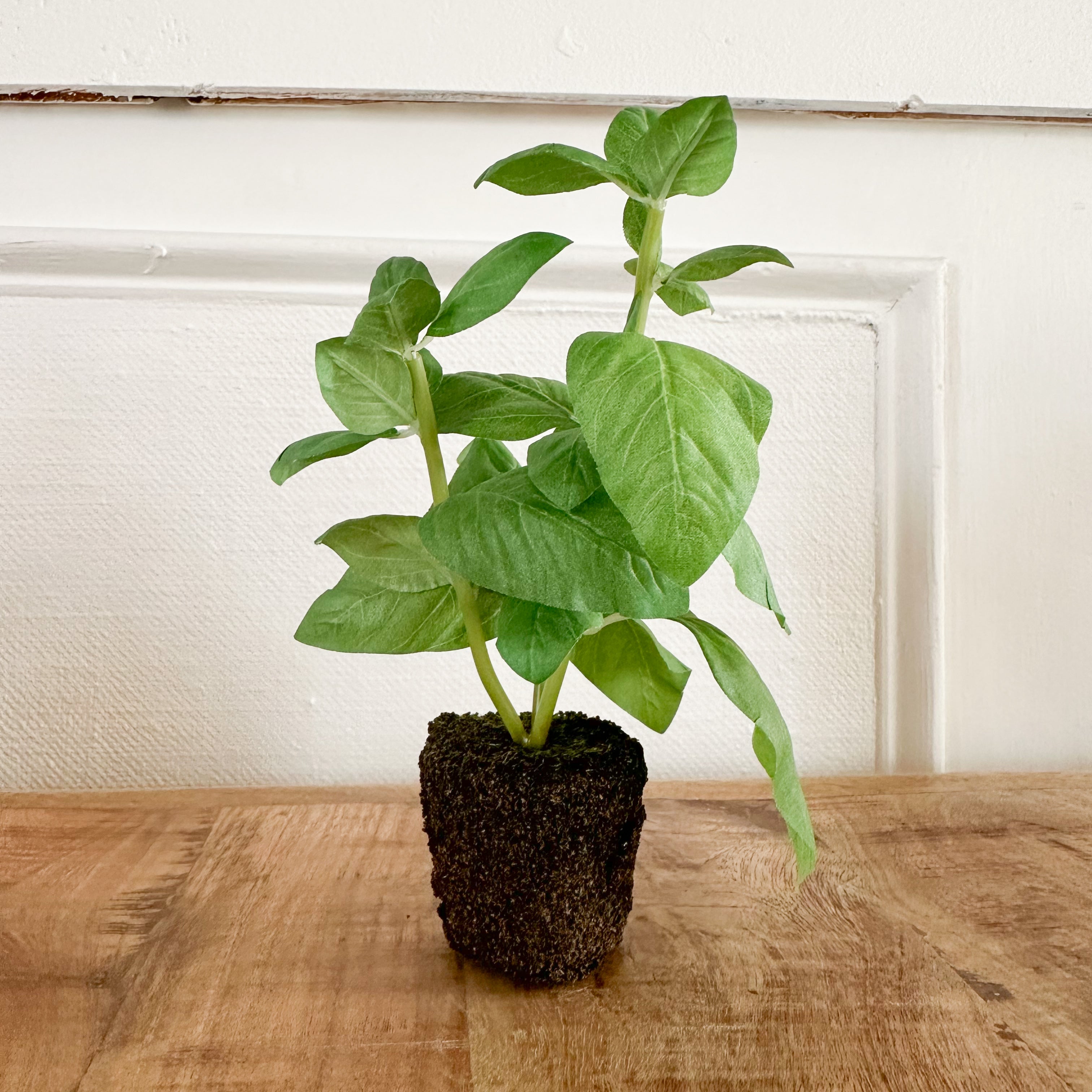 Faux Basil Drop-In With Root Ball