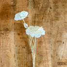 Faux Cream Ranunculus Spray