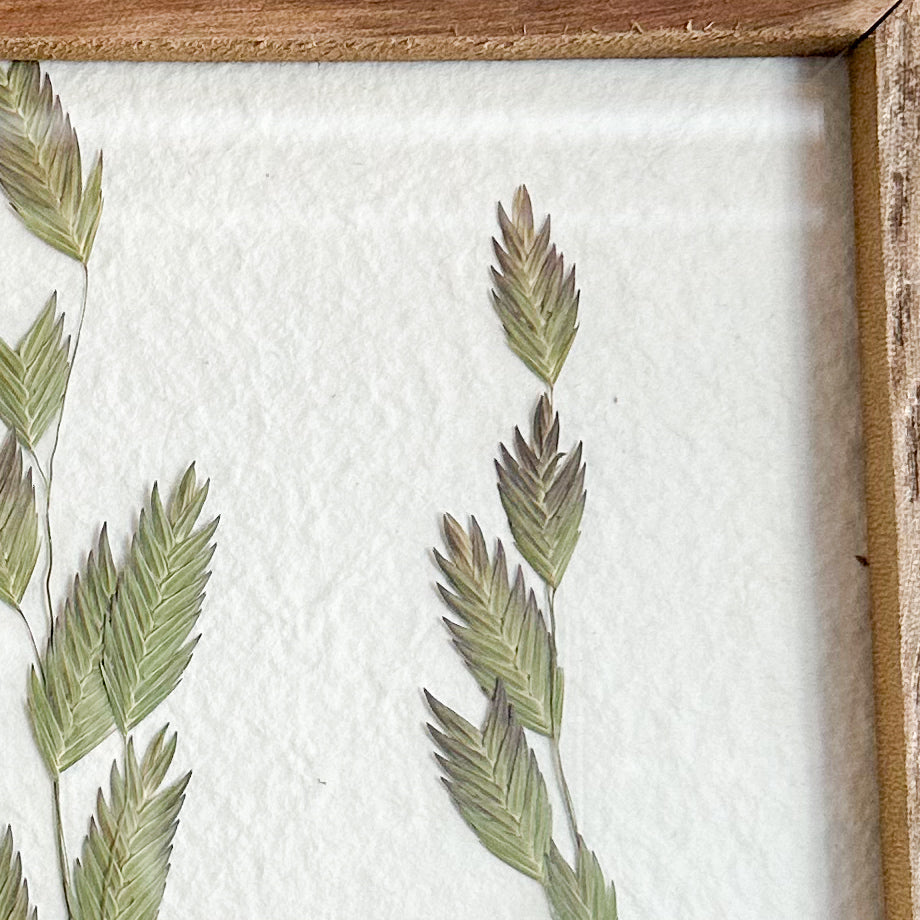 Woodland Oats Pressed Botanical - Thumbnail 2