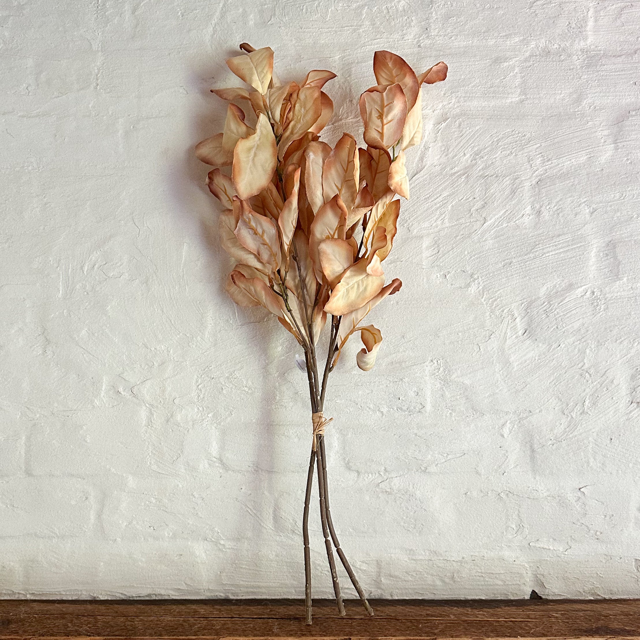 Golden Hour Magnolia Leaves