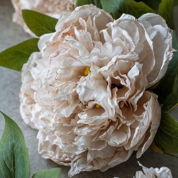 Peony Evening Dew Stem – Purple Rose & Co