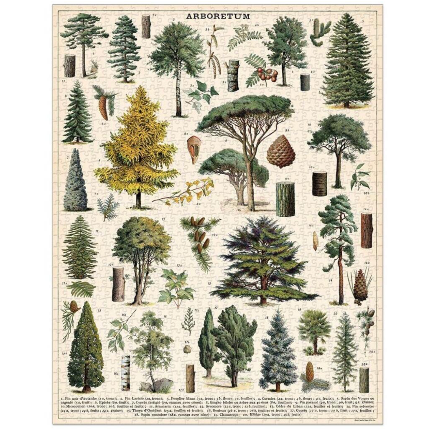 Arboretum 1000 Piece Vintage Style Jigsaw Puzzle