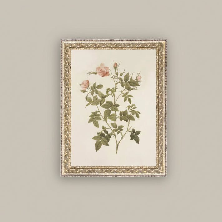 Rosa Framed Fancy Gold Frame – Purple Rose & Co