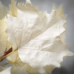 Ivory Maple Leaf Stem