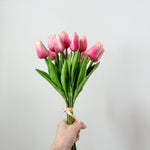 Mauve Tulip Bundle