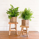 Woodland Square Tall Teak Stand Riser Two Sizes